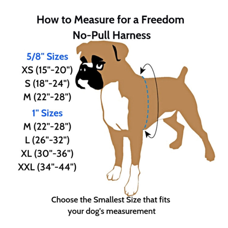 2 Hounds : Freedom No-Pull Harness and Leash - Royal Blue / XXL 1"