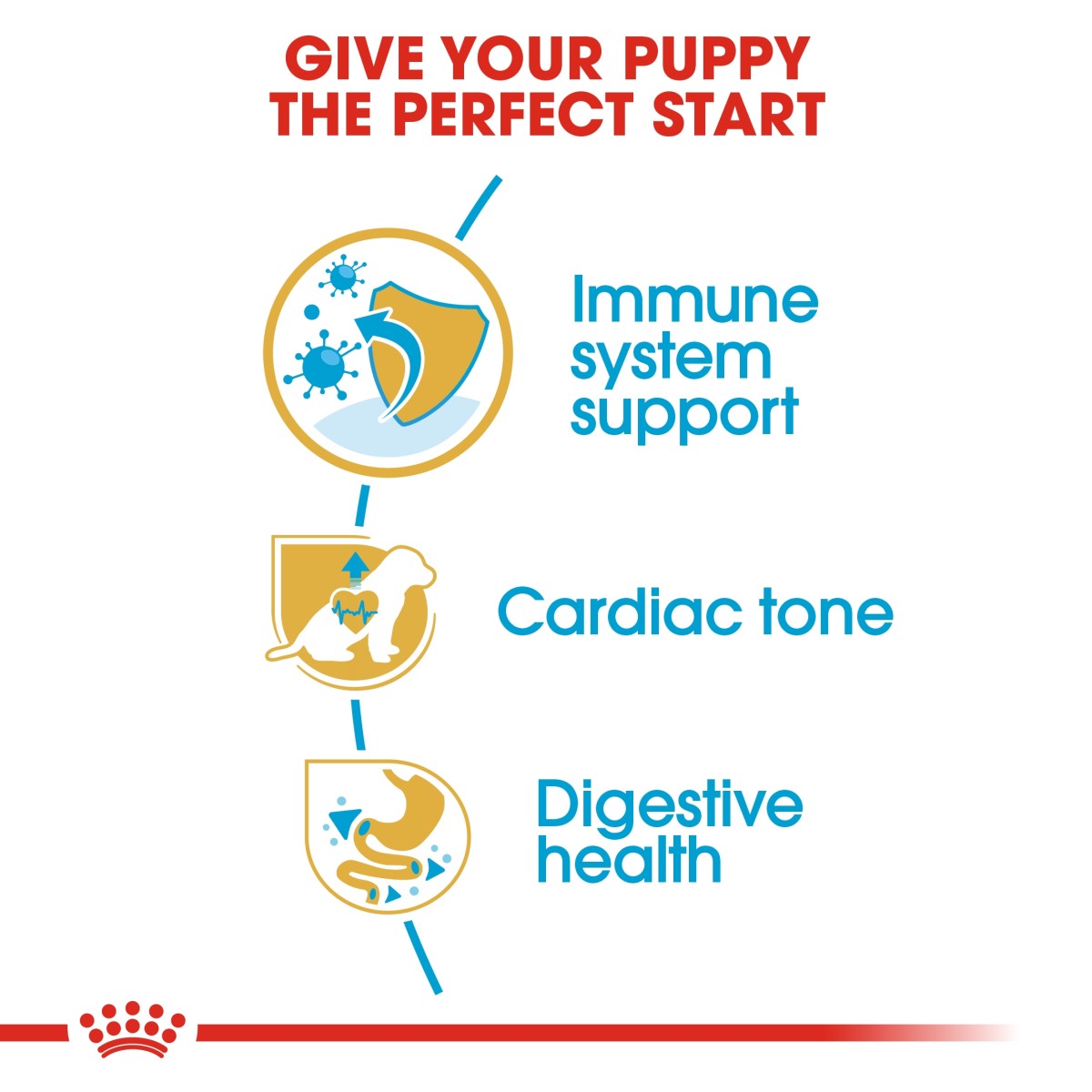 Royal Canin: Breed Health Nutrition Cavalier King Charles Puppy 1.5 kg