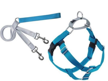 2 Hounds : Freedom No-Pull Harness and Leash - Turquoise / Medium 1"