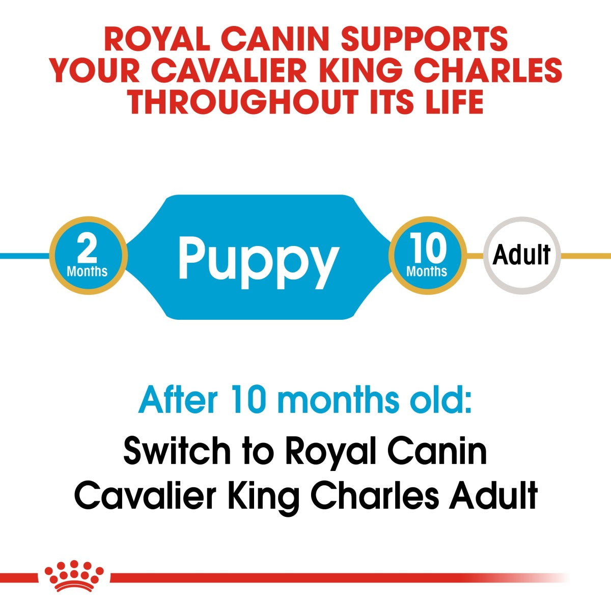 Royal Canin: Breed Health Nutrition Cavalier King Charles Puppy 1.5 kg