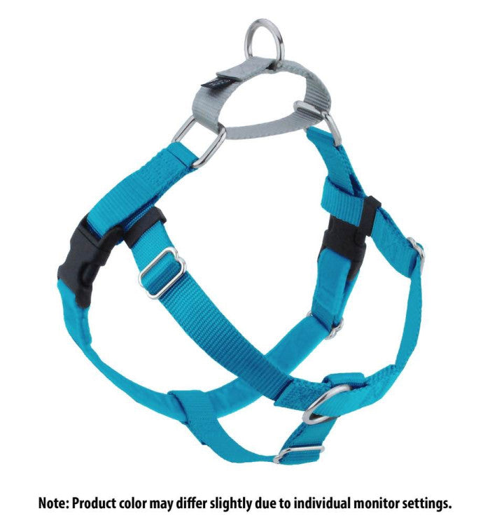 2 Hounds : Freedom No-Pull Harness and Leash - Turquoise / Medium 1"
