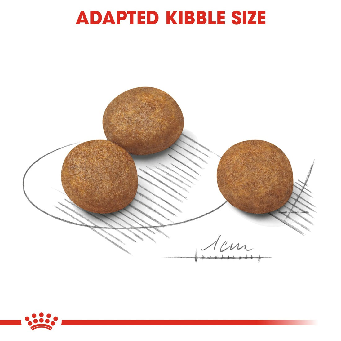 Royal Canin Size Health Nutrition Maxi Puppy 4 kg