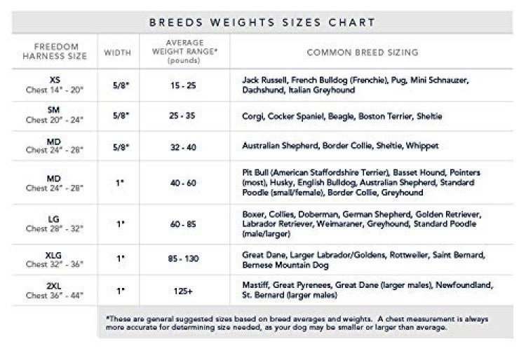 2 Hounds : RAINBOW FREEDOM NO PULL HARNESS AND LEASH - LARGE