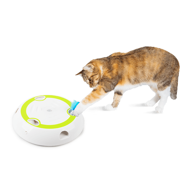afp Interactive Cat Wack 'A' Feather