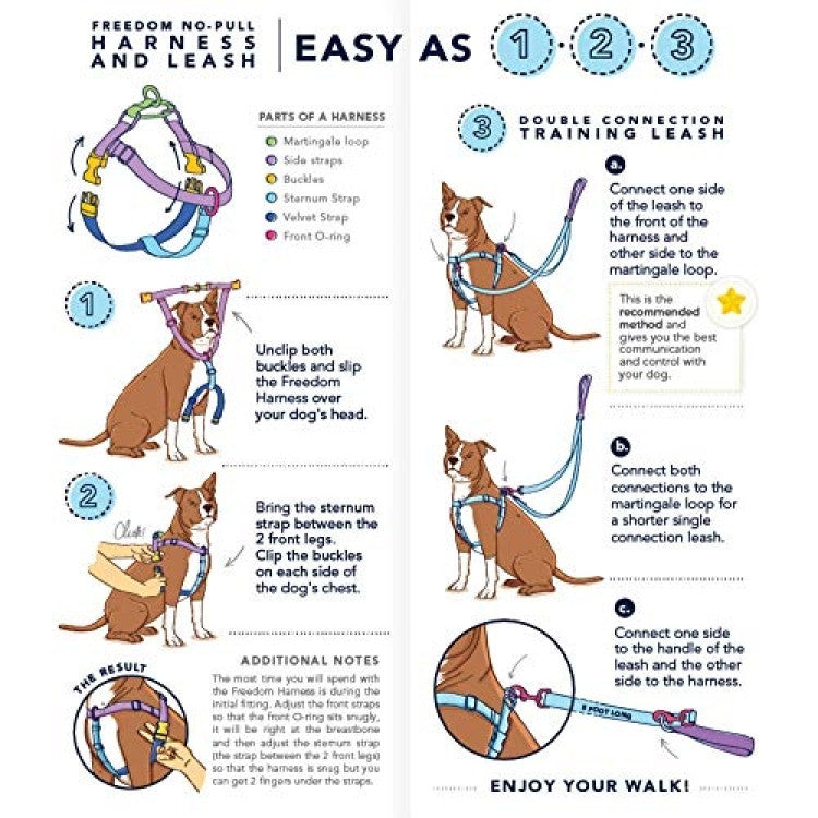 2 Hounds : RAINBOW FREEDOM NO PULL HARNESS AND LEASH - LARGE