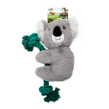 afp Safari Rope Cuddle Koala