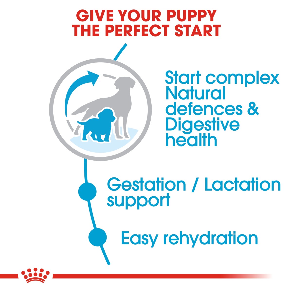 Royal Canin Size Health Nutrition Medium Starter 4 kg