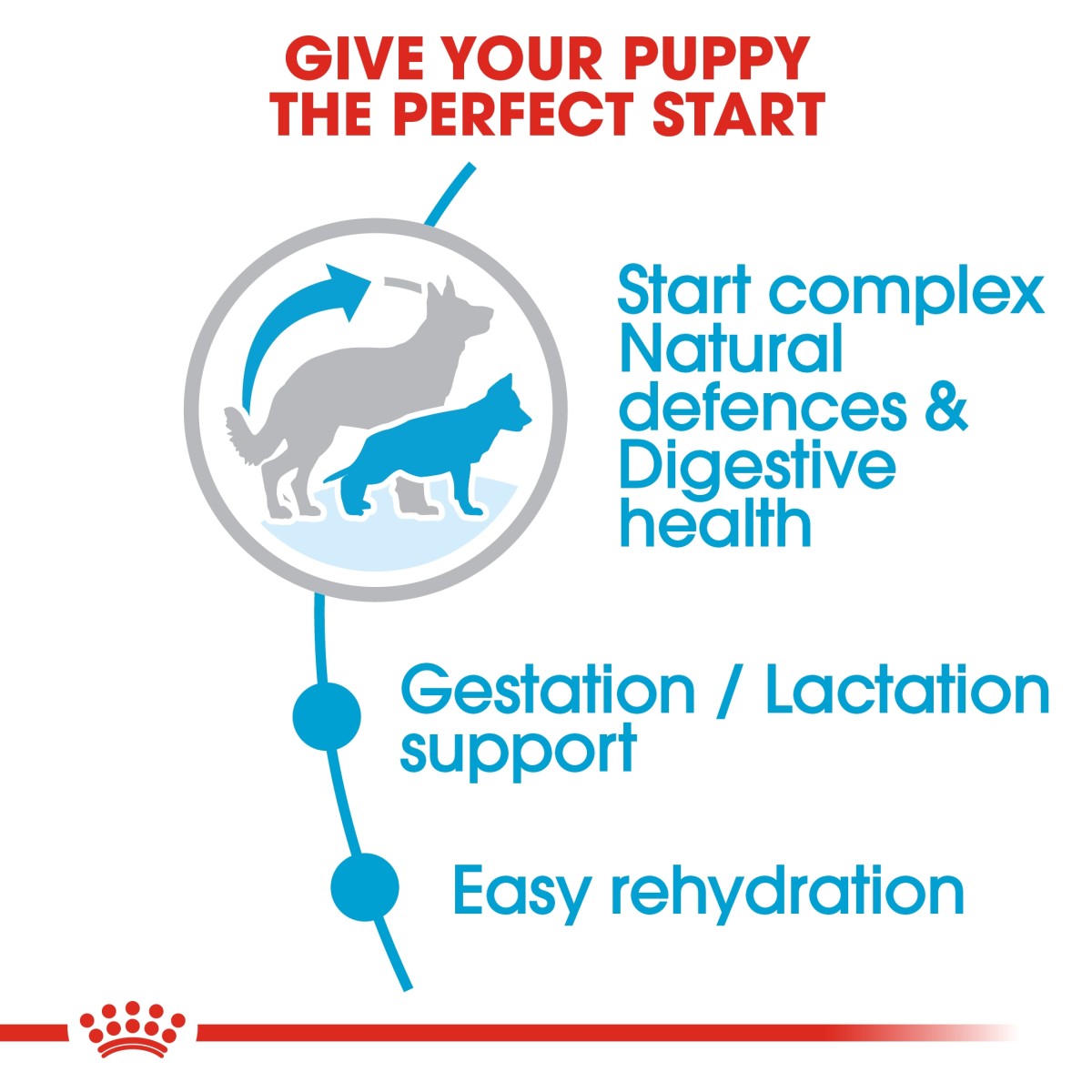Royal Canin Size Health Nutrition Maxi Starter 4 kg