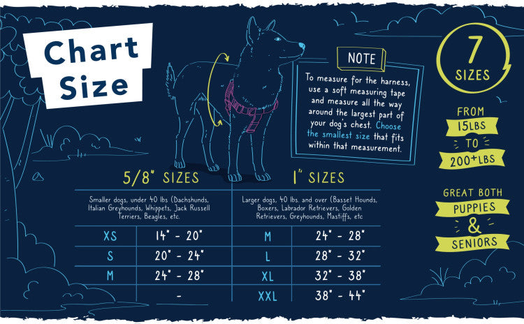 2 Hounds : REFLECTIVE FREEDOM NO-PULL HARNESS AND LEASH - BLACK / MEDIUM