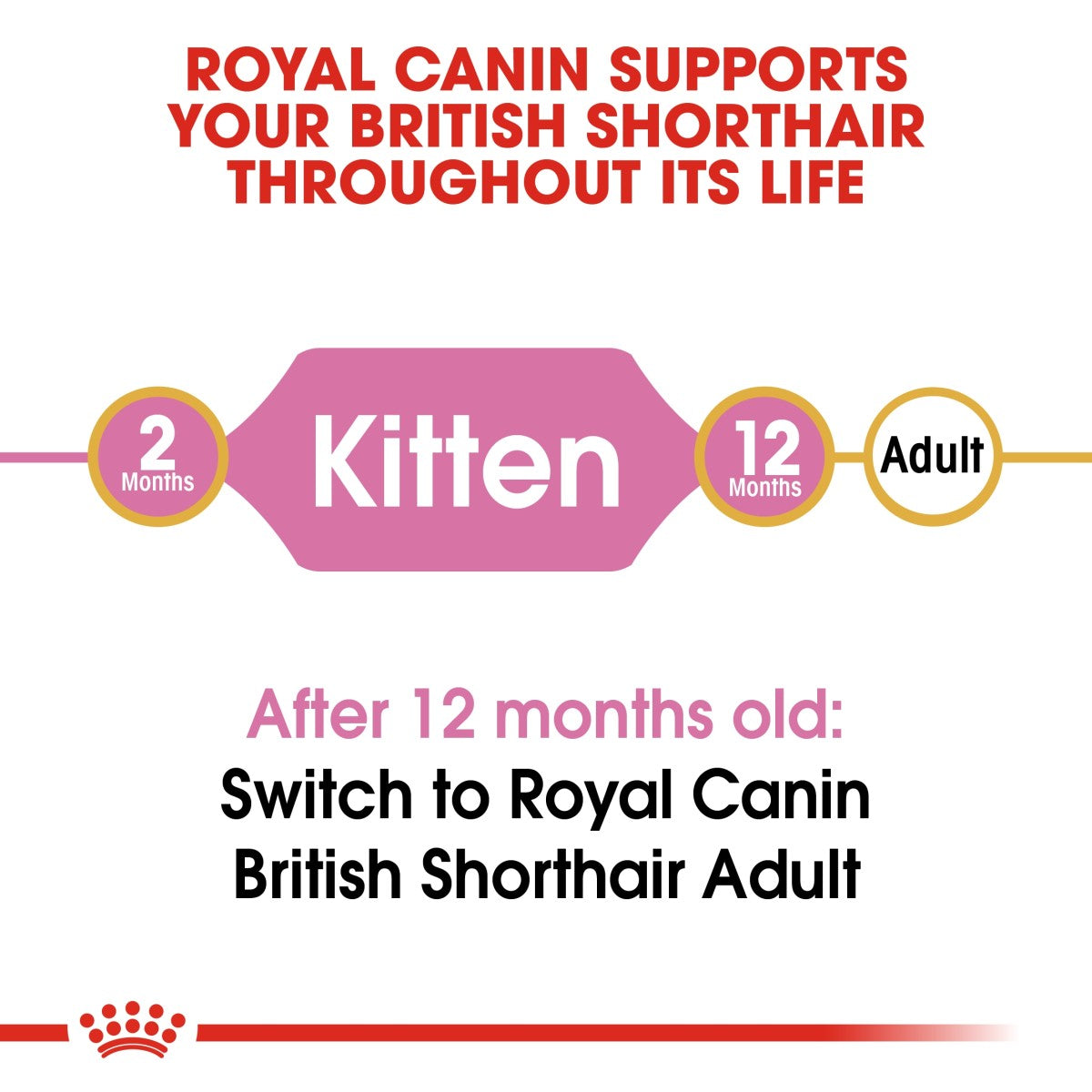 Royal Canin Feline Breed Nutrition British Shorthair Kitten 2 kg