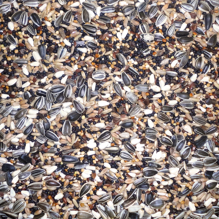 Finch Budget Mix 20 kg