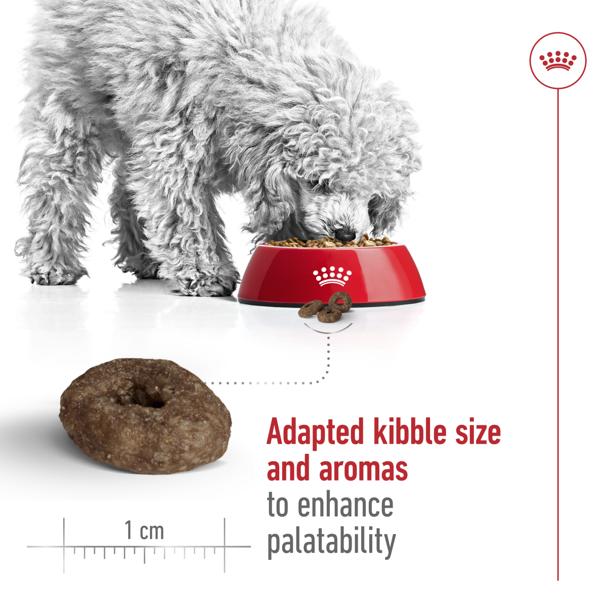 Royal Canin Size Health Nutrition Mini Ageing 12+ 1.5 kg