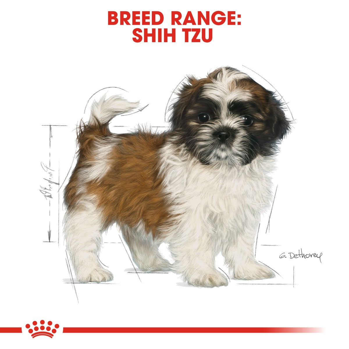 Royal Canin Breed Health Nutrition Shih Tzu Puppy 1.5 kg