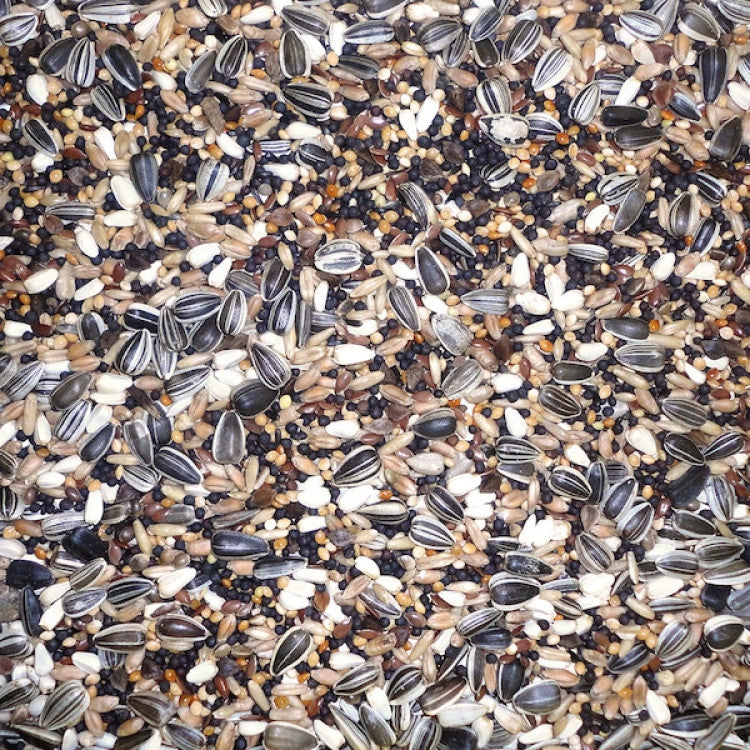 Finch Mix 20 kg