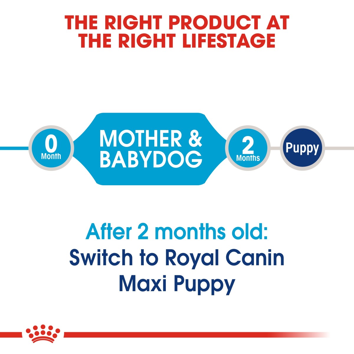 Royal Canin Size Health Nutrition Maxi Starter 15 kg