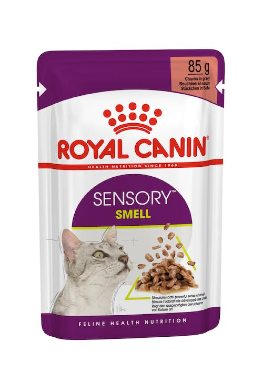 Royal Canin Feline Health Nutrition Sensory Smell Gravy (Wet Food - Pouches) 12 x 85 g