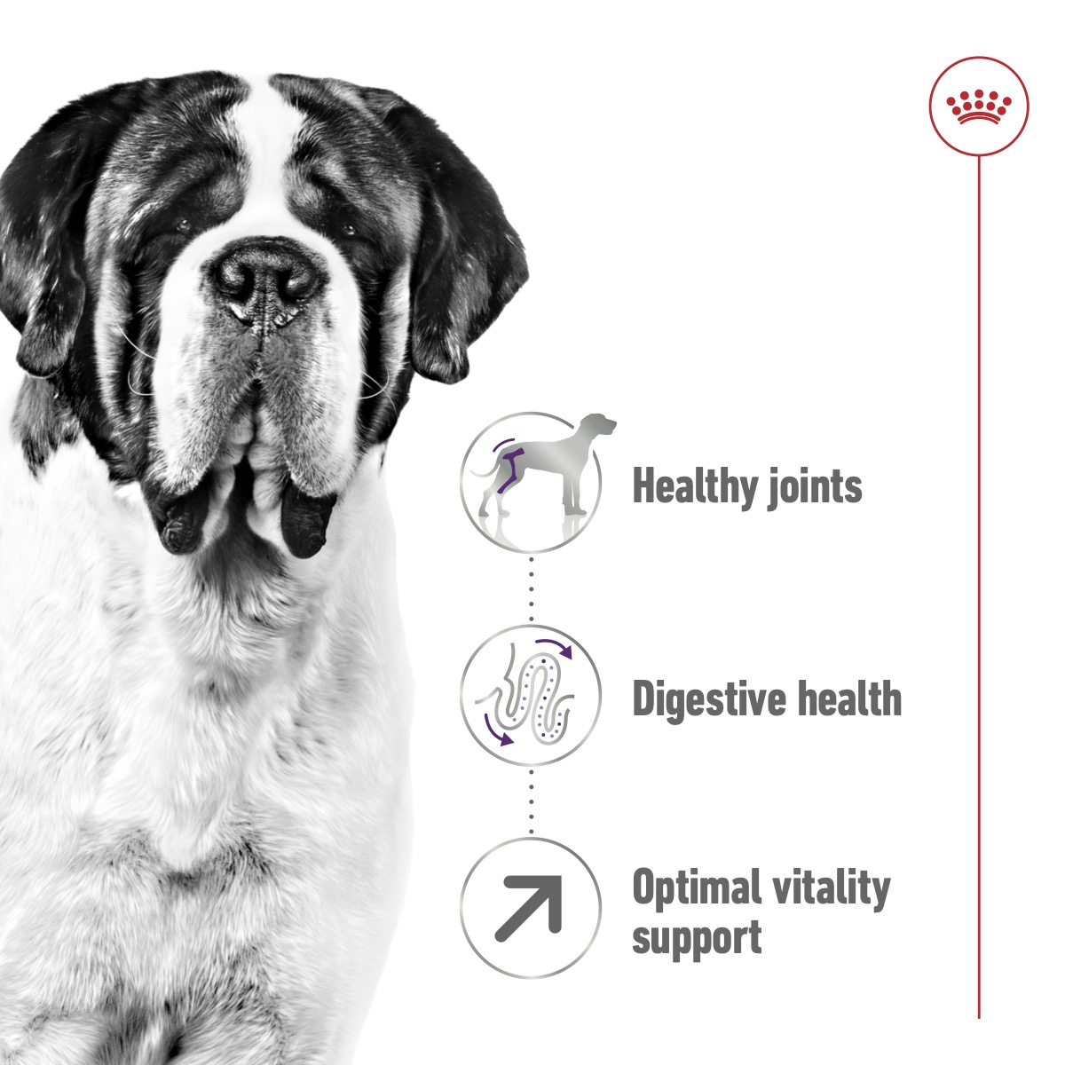 Royal Canin Size Health Nutrition Giant Adult 15 kg