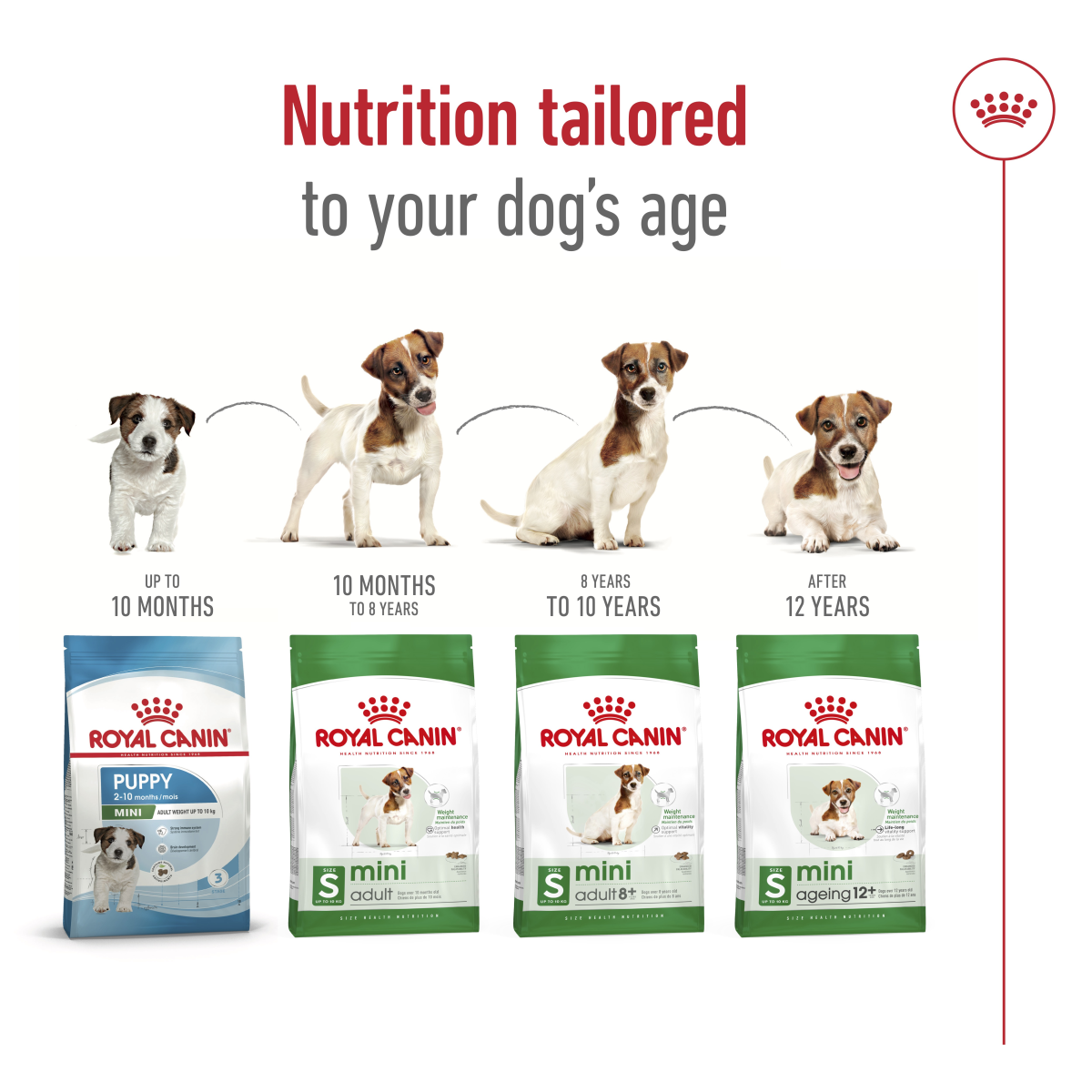 Royal Canin Size Health Nutrition Mini Ageing 12+ 1.5 kg