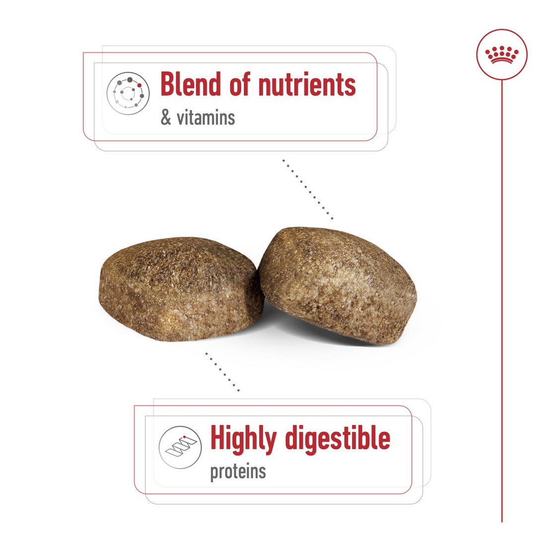 Royal Canin Size Health Nutrition Giant Adult 15 kg