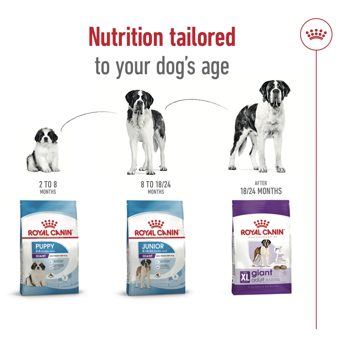 Royal Canin Size Health Nutrition Giant Adult 15 kg