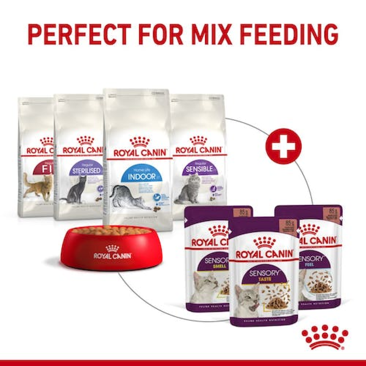 Royal Canin Feline Health Nutrition Sensory Smell Gravy (Wet Food - Pouches) 12 x 85 g