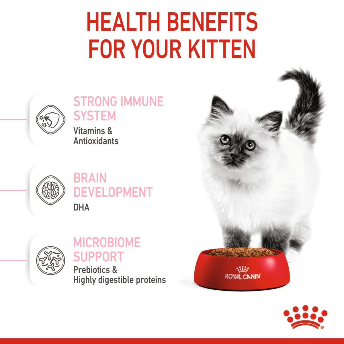 Royal Canin Feline Health Nutrition Kitten 2 kg