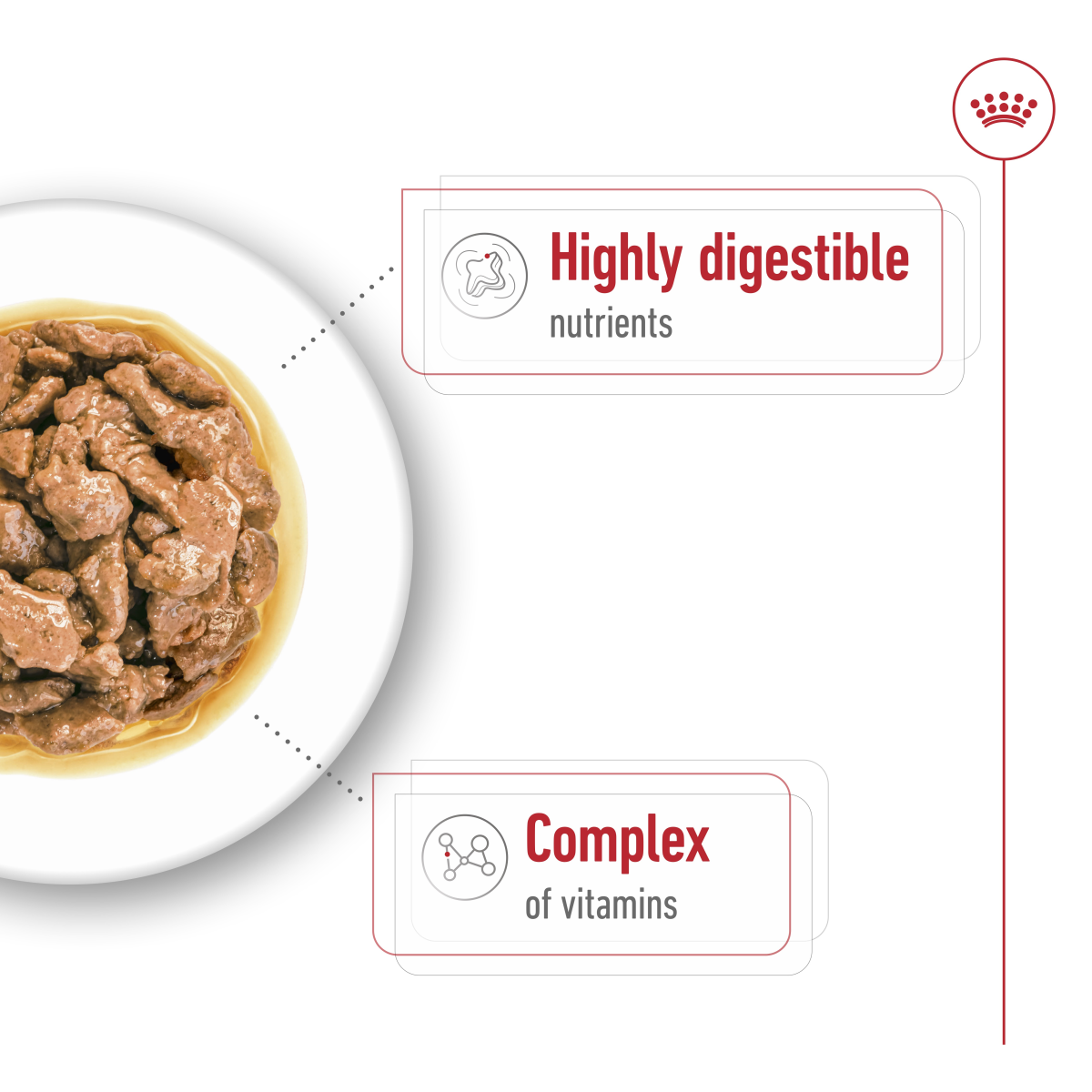 Royal Canin Size Health Nutrition Mini Adult (Wet Food - Pouches) 12 x 85 g