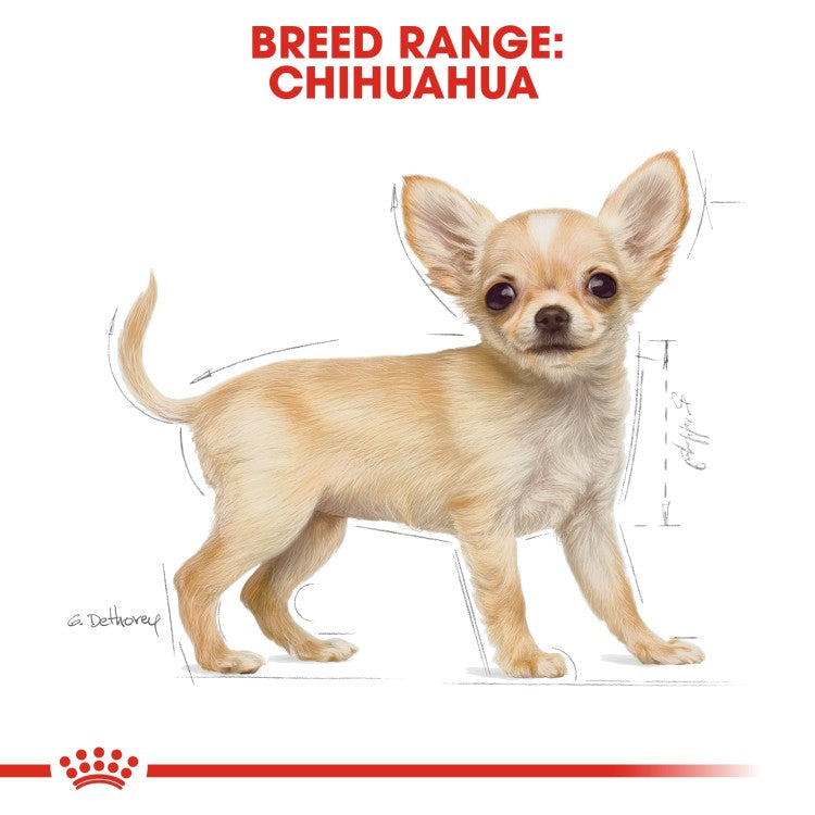 Royal Canin: Breed Health Nutrition Chihuahua Puppy 1.5 kg