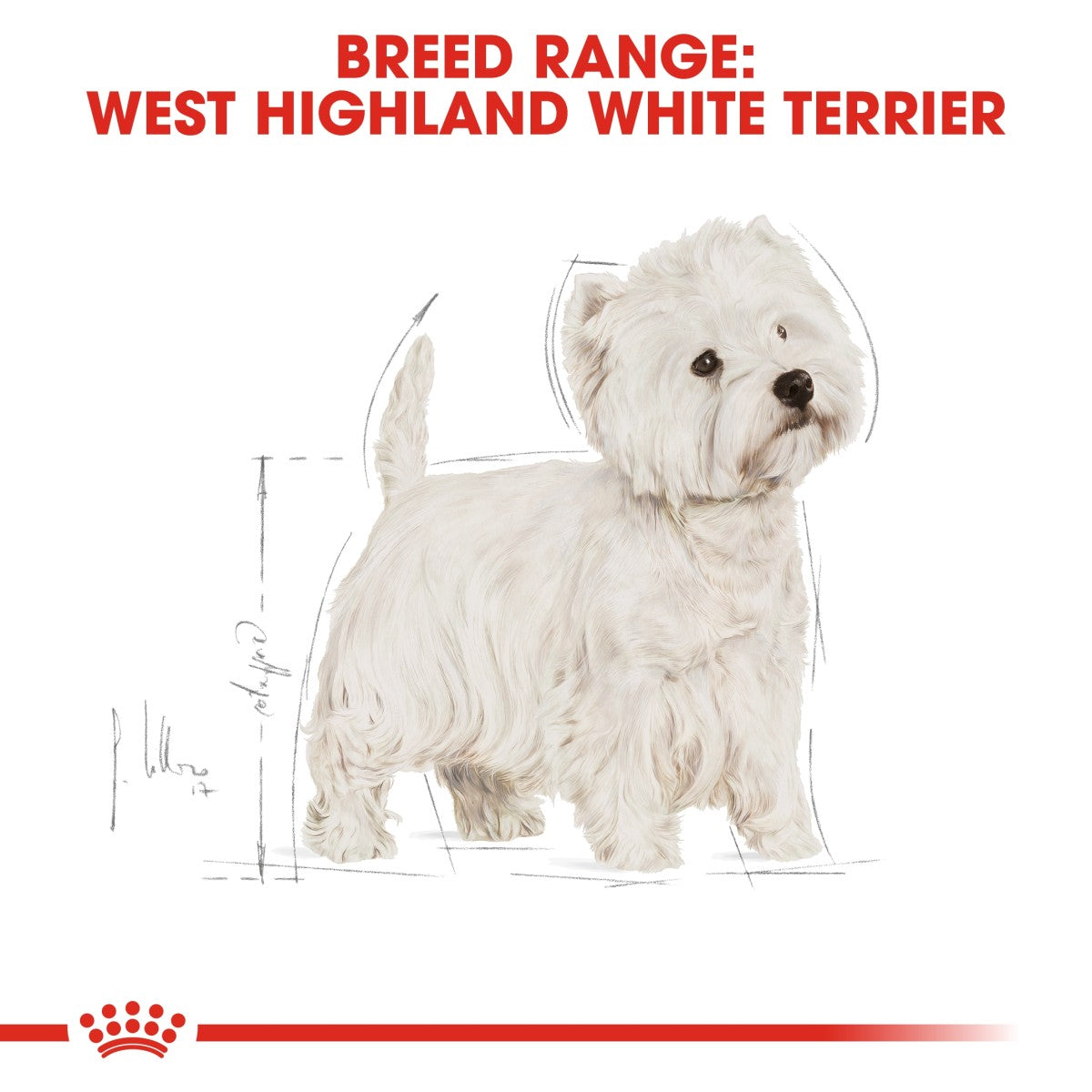 Royal Canin Breed Health Nutrition Westie Adult 3 kg