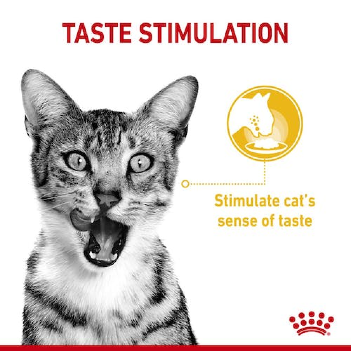 Royal Canin Feline Health Nutrition Sensory Taste Gravy (Wet Food - Pouches) 12 x 85 g