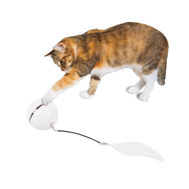 afp Interactive Rolling Laser Ball Cat Toy