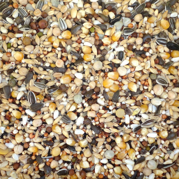 Moulting Diet 20 kg