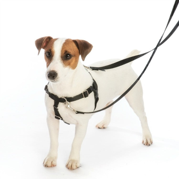 2 Hounds: Freedom No-Pull Harness and Leash - Black / Medium 1"