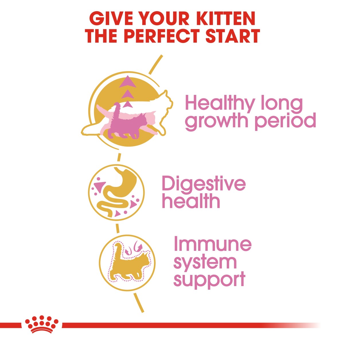 Royal Canin Feline Breed Nutrition Maine Coon Kitten 2 kg