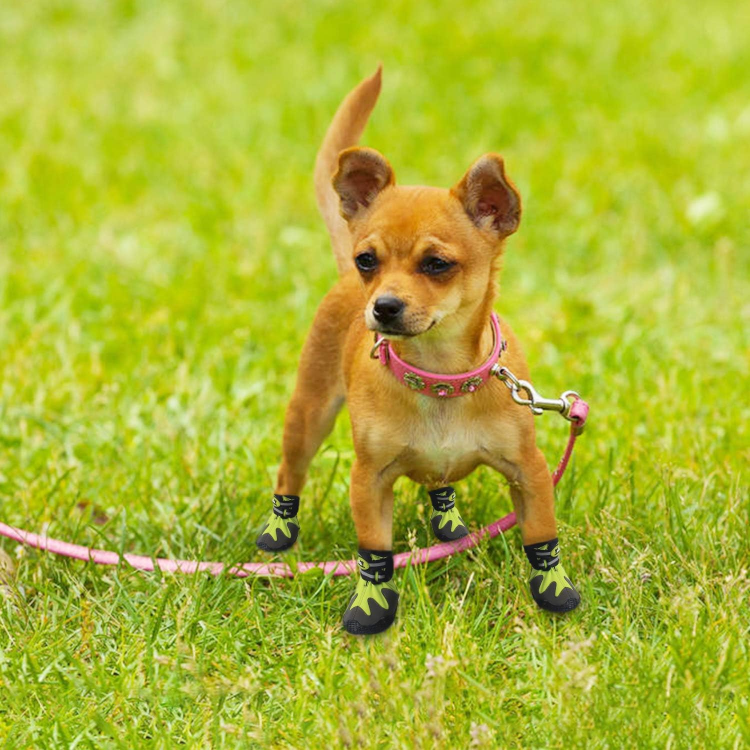 afp Outdoor Dog Shoes Green Small, 5 cm