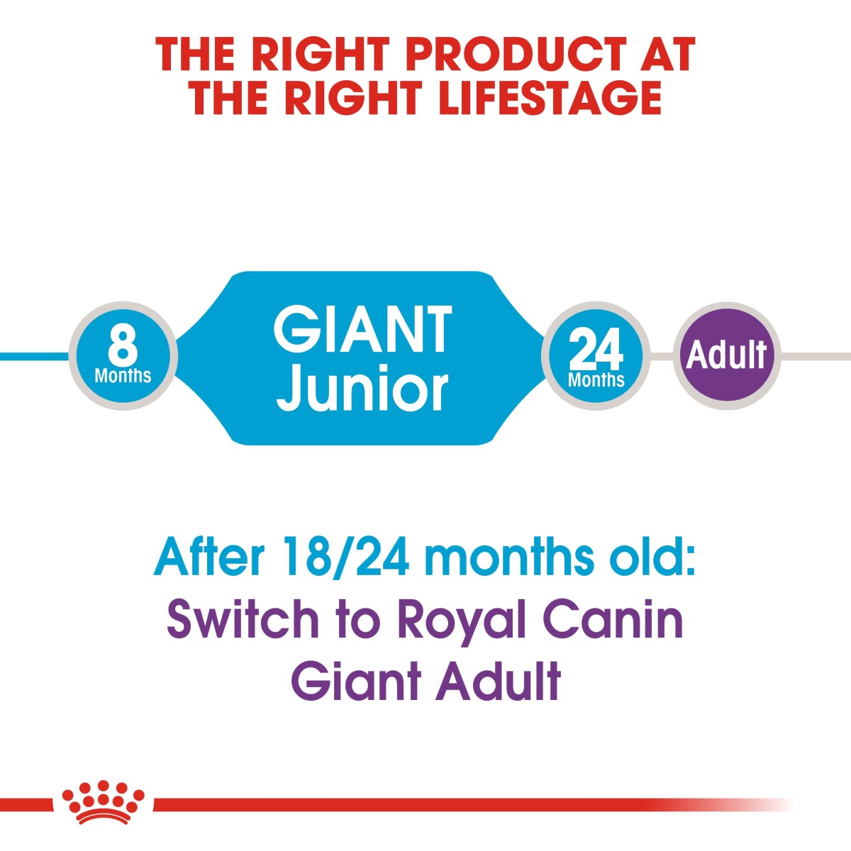 Royal Canin Size Health Nutrition Giant Junior 15 kg