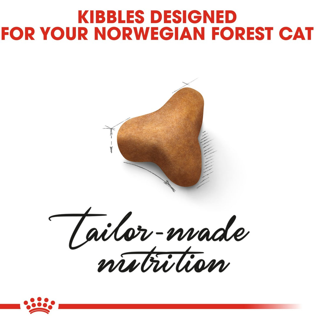 Royal Canin Feline Breed Nutrition Norwegian Forest Cat Adult 2 kg