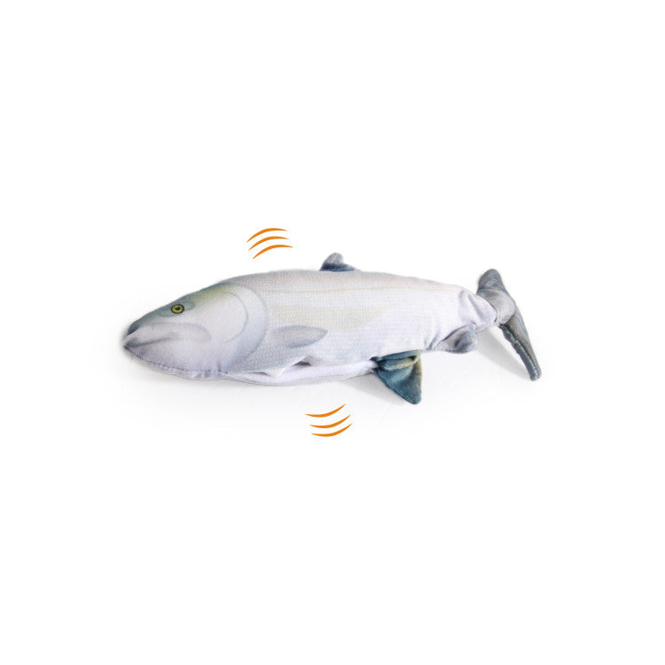 afp Jittering Fish Sardine