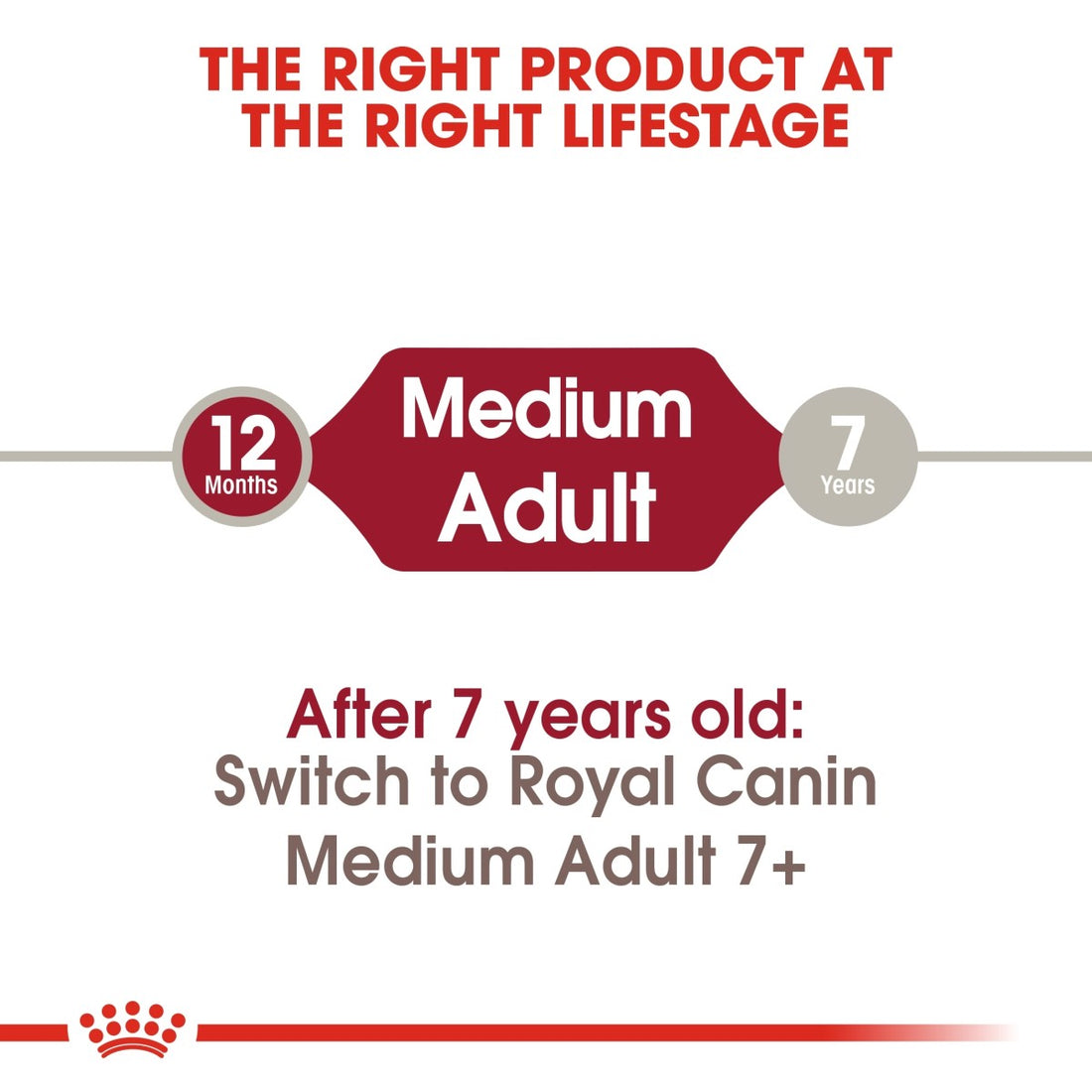 Royal Canin Size Health Nutrition Medium Adult 4 kg