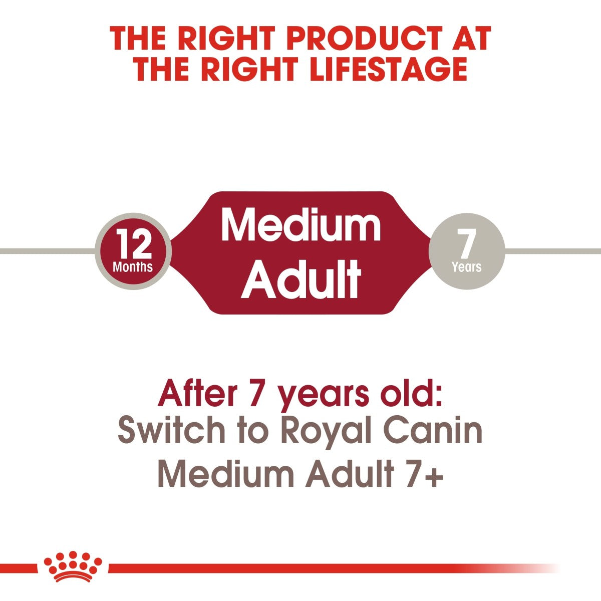 Royal Canin Size Health Nutrition Medium Adult 4 kg