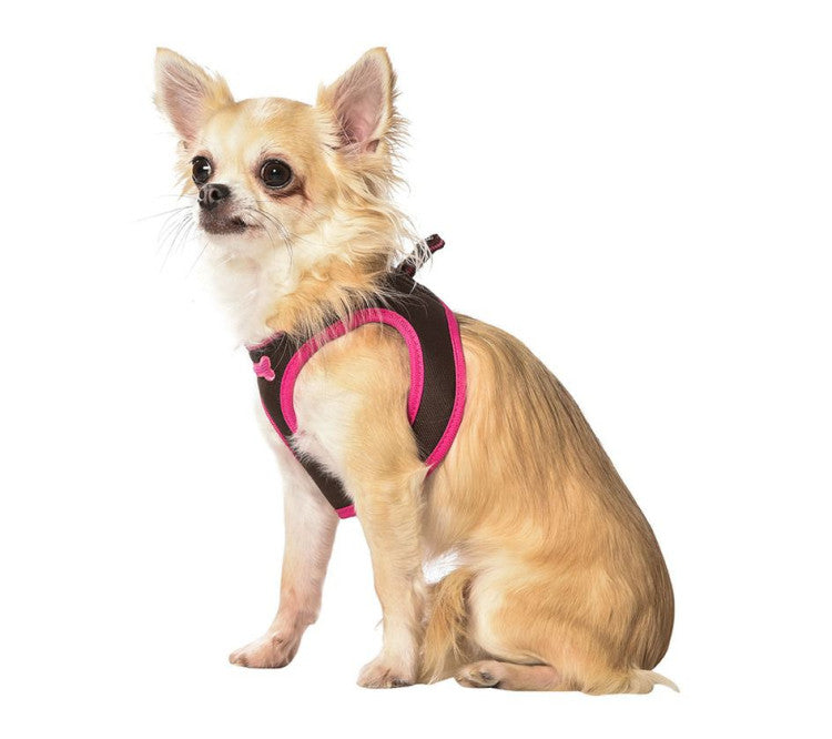 Bobby Arlequin Mini Harness Brown, 2XSmall