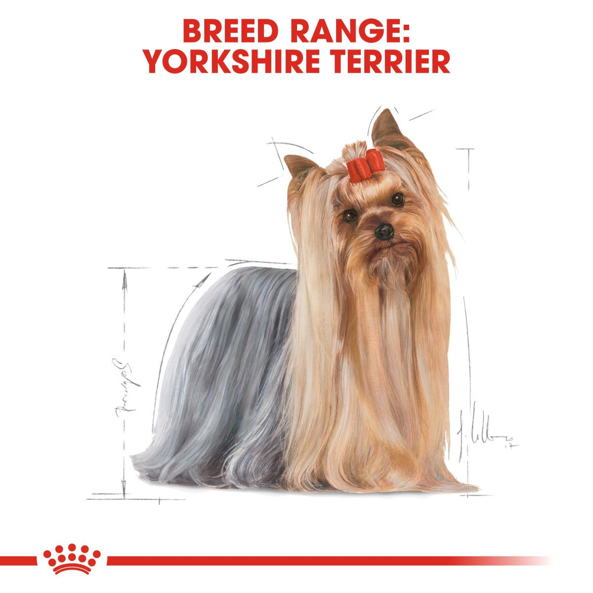 Royal Canin Breed Health Nutrition Yorkshire Adult 1.5 kg