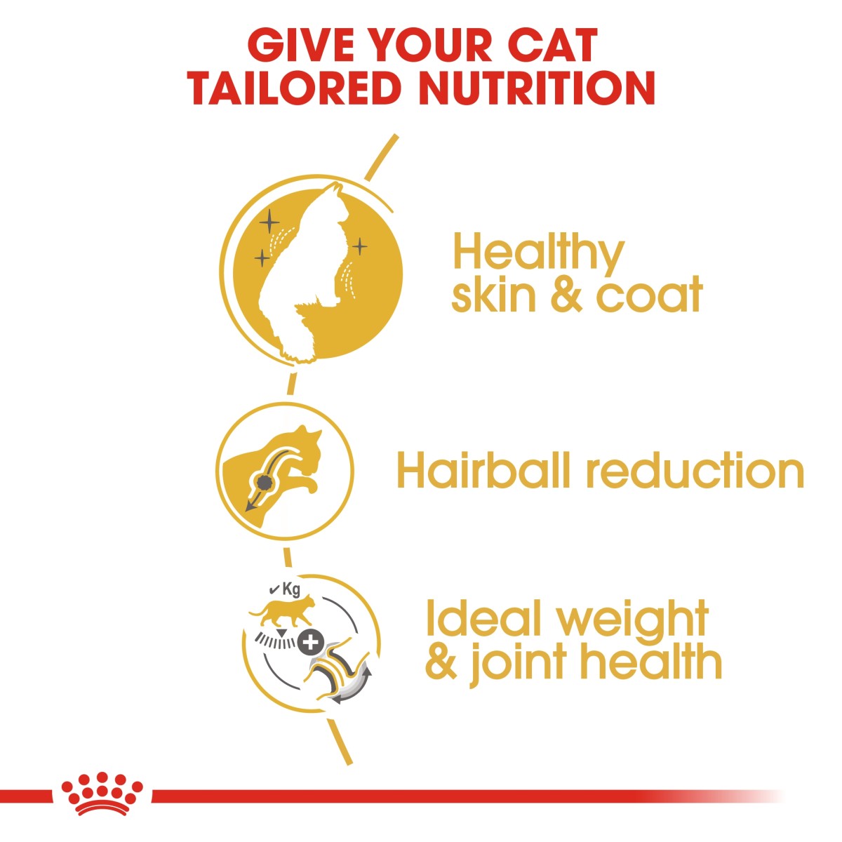 Royal Canin Feline Breed Nutrition Norwegian Forest Cat Adult 2 kg