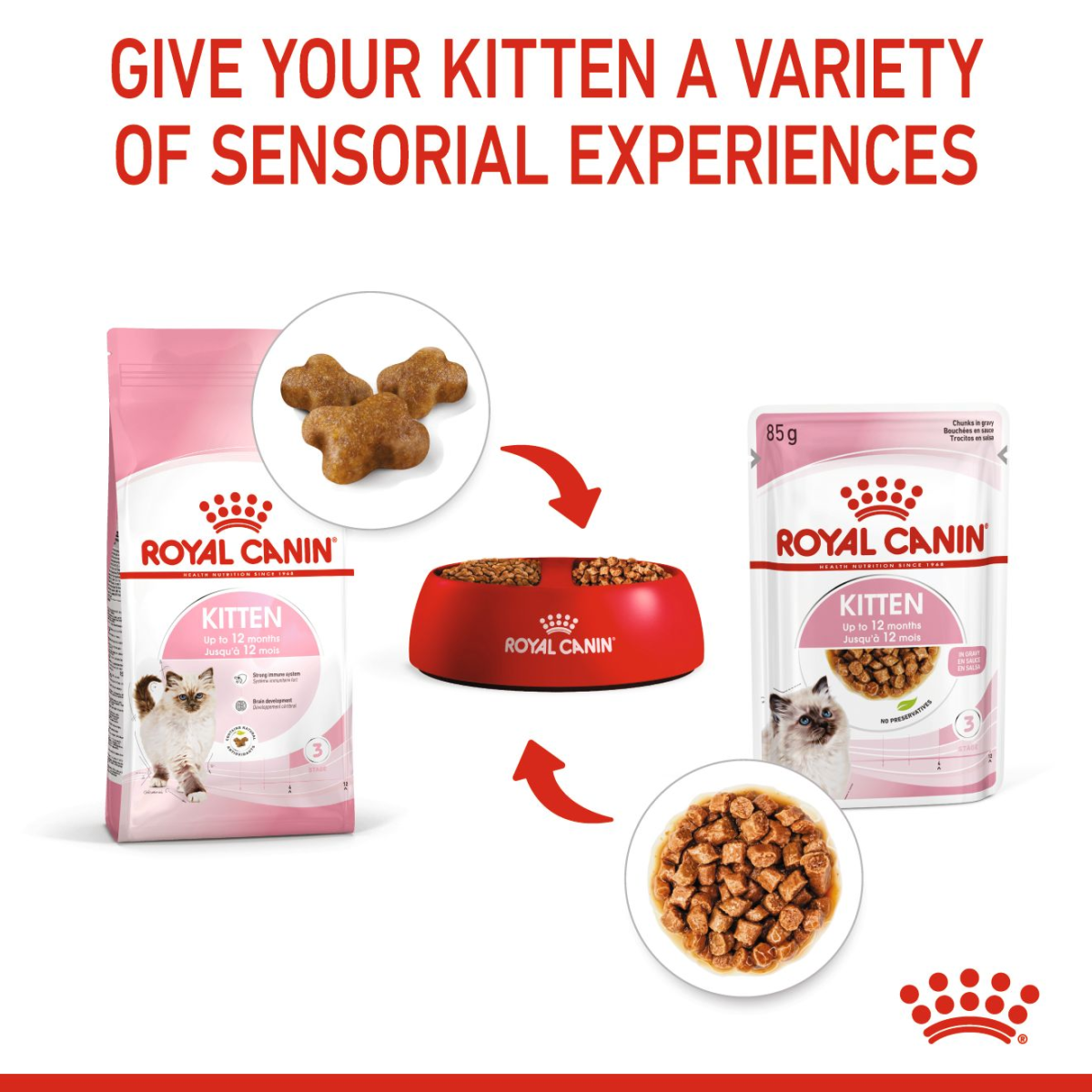 Royal Canin Feline Health Nutrition Kitten Gravy (Wet Food - Pouches) 12 x 85 g