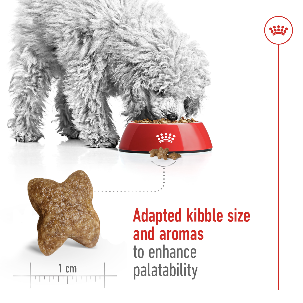 Royal Canin Size Health Nutrition Mini Adult 8 kg