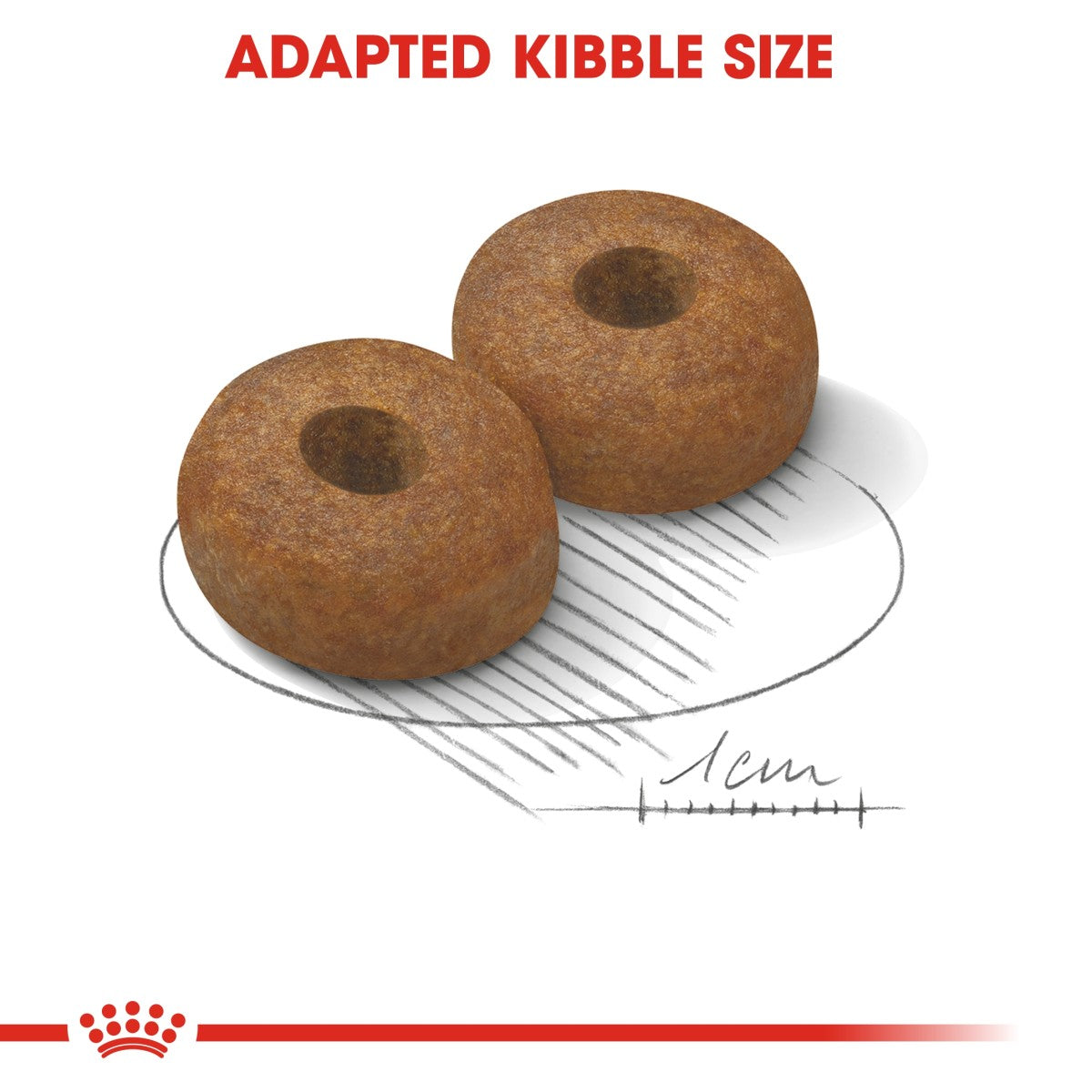 Royal Canin Size Health Nutrition Maxi Ageing 8+ 15 kg