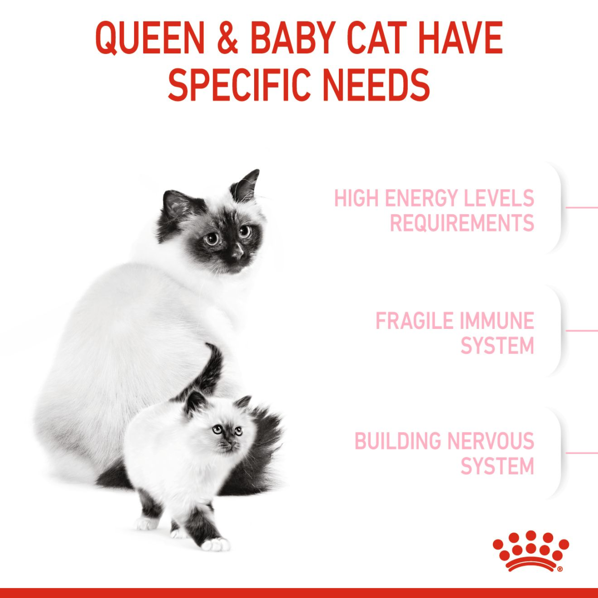 Royal Canin Feline Health Nutrition Mother and Babycat 400 g