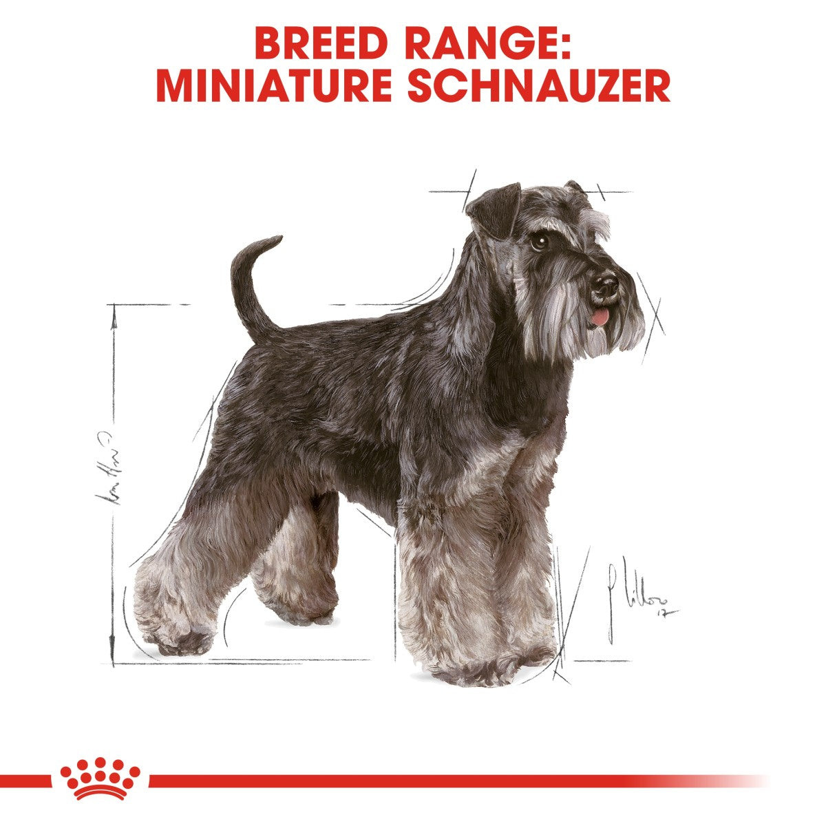 Royal Canin Breed Health Nutrition Miniature Schnauzer Adult 3 kg