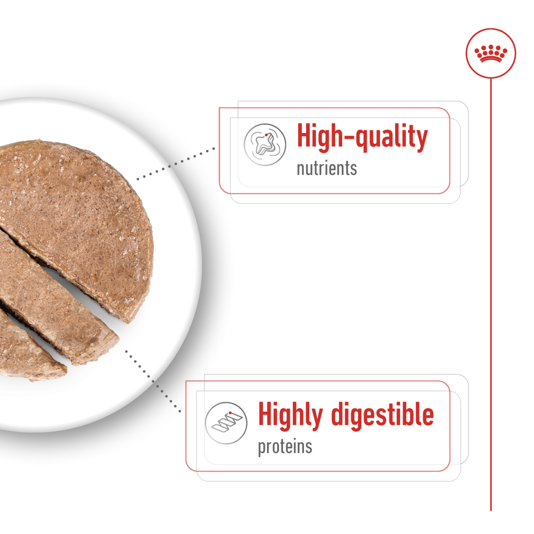 Royal Canin Size Health Nutrition Maxi Adult (Wet Food - Can) 12 x 410 g