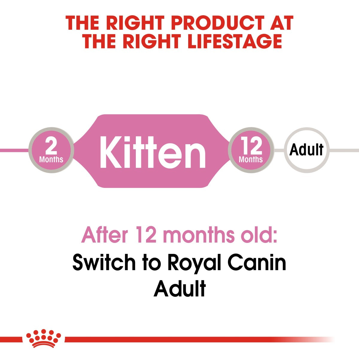 Royal Canin Feline Health Nutrition Kitten Jelly (Wet Food - Pouches) 12 x 85 g